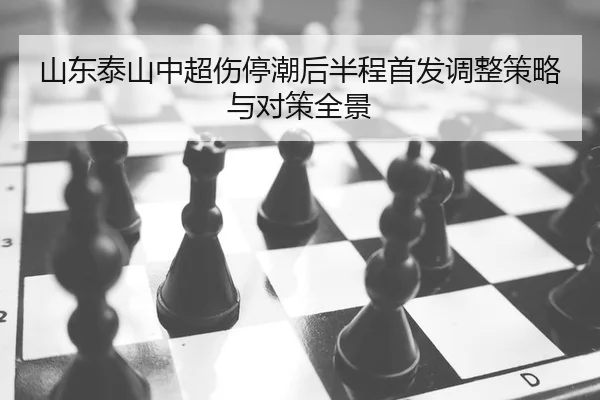 shan-dong-tai-shan-zhong-chao-shang-ting-chao-hou-ban-cheng-shou-fa-tiao-zheng-ce-lve-yu-dui-ce-quan-jing-2-473.jpg