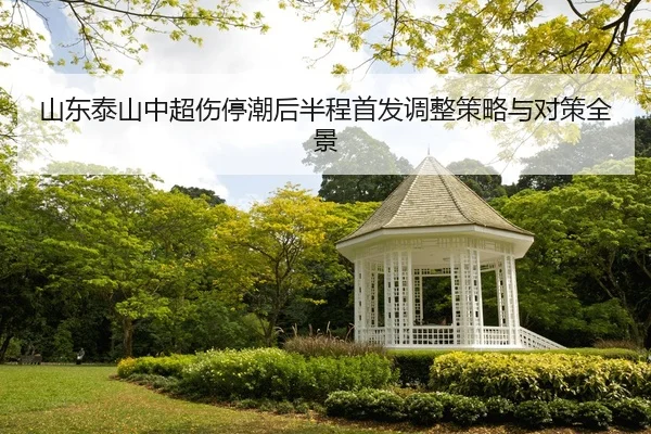 山东泰山中超伤停潮后半程首发调整策略与对策全景